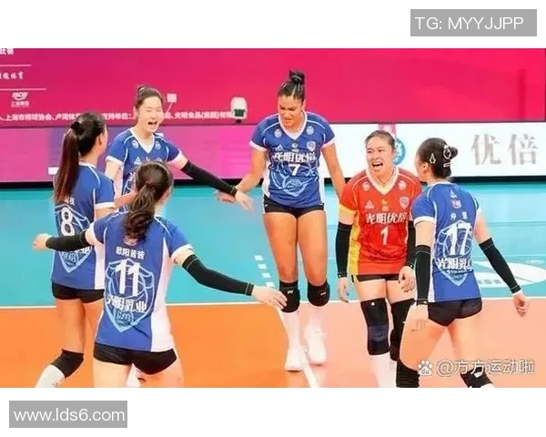 南京排球队在精英赛中的力量展现与战术分析